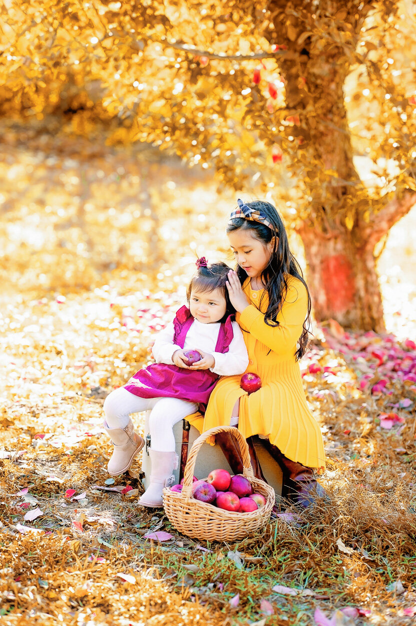 appleorchard_fall_familyphotos_fredericksburgphotographer_novaphotographer_youseephotography10.jpg