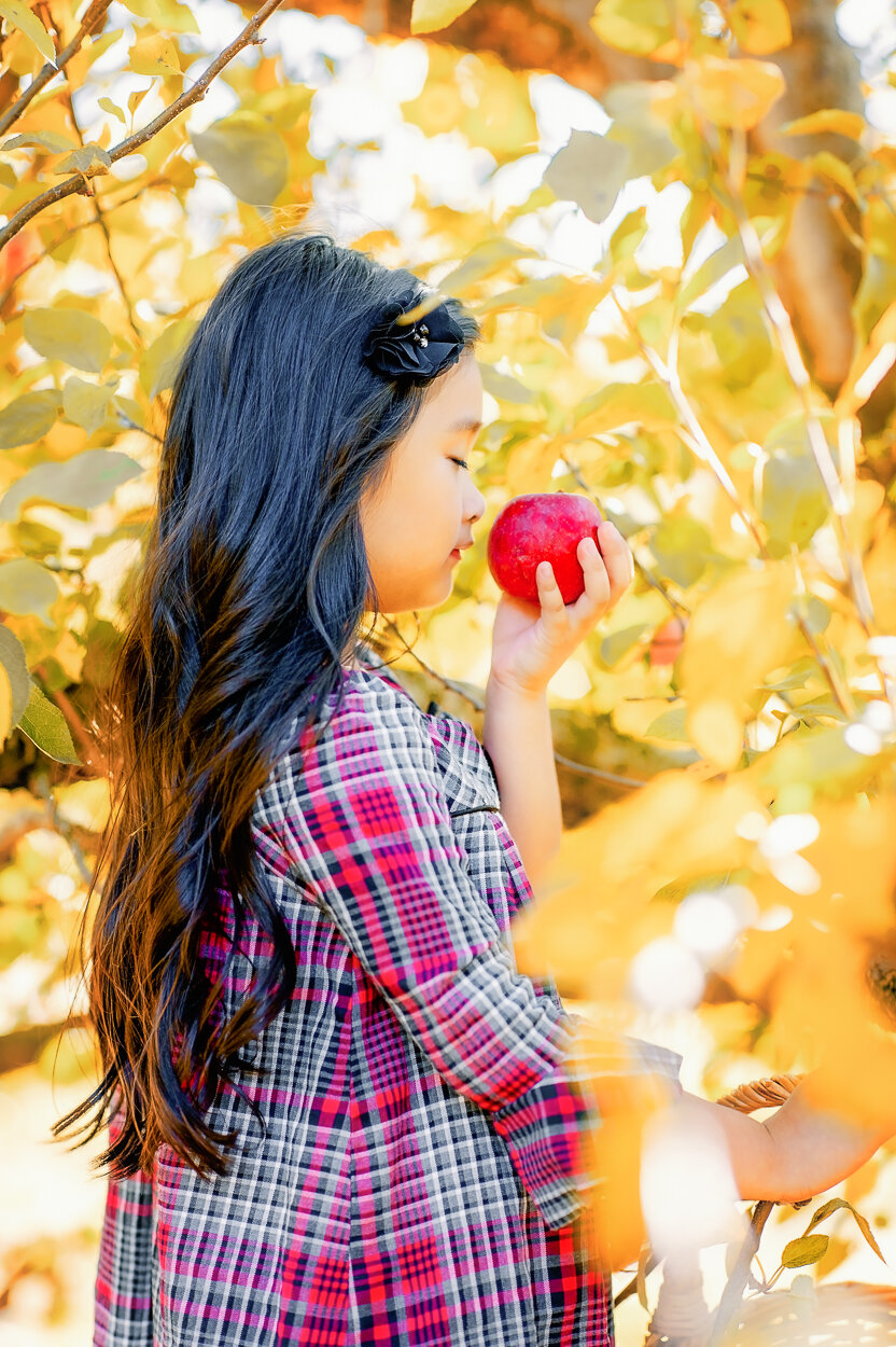 appleorchard_fall_familyphotos_fredericksburgphotographer_novaphotographer_youseephotography12.jpg