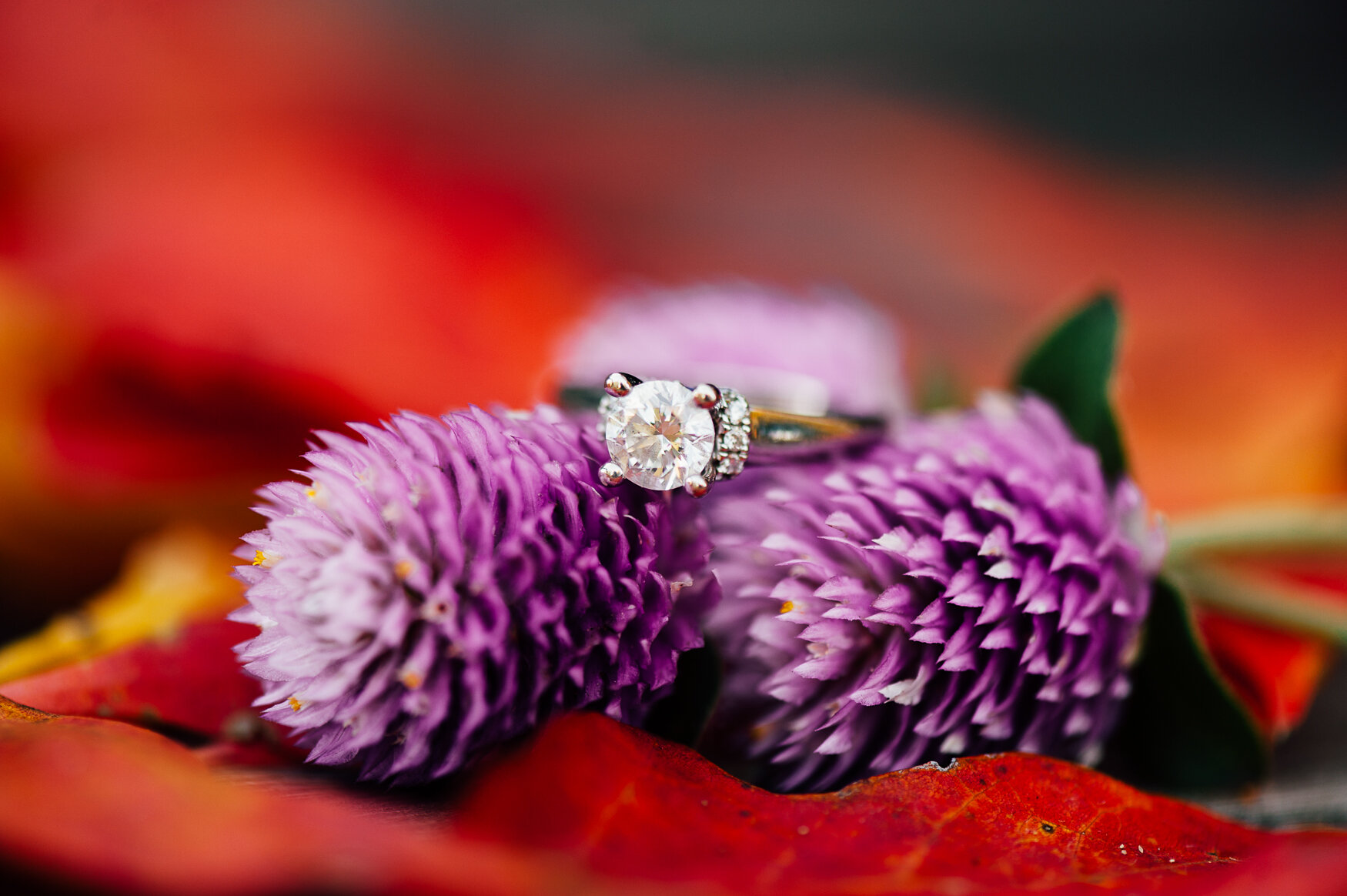 Fall_engagement_maymont_virginiawedding_youseephotography_CatherineCody (41).jpg