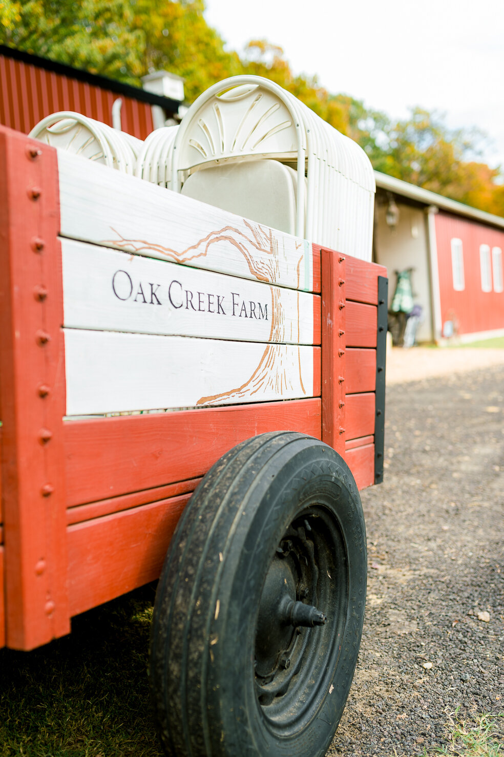 FredericksburgWedding_OakCreekFarm_Fall_lightandairy_youseephotography_SS_pic5.jpg