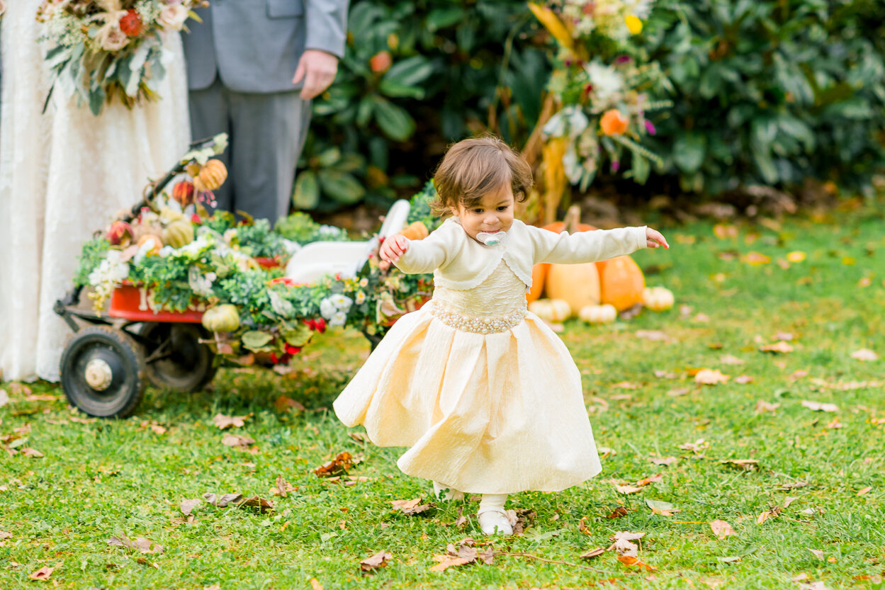 SevenSprings_VirginiaWedding_Fall_Halloween_youseephotography_RachelEric_pic75.jpg