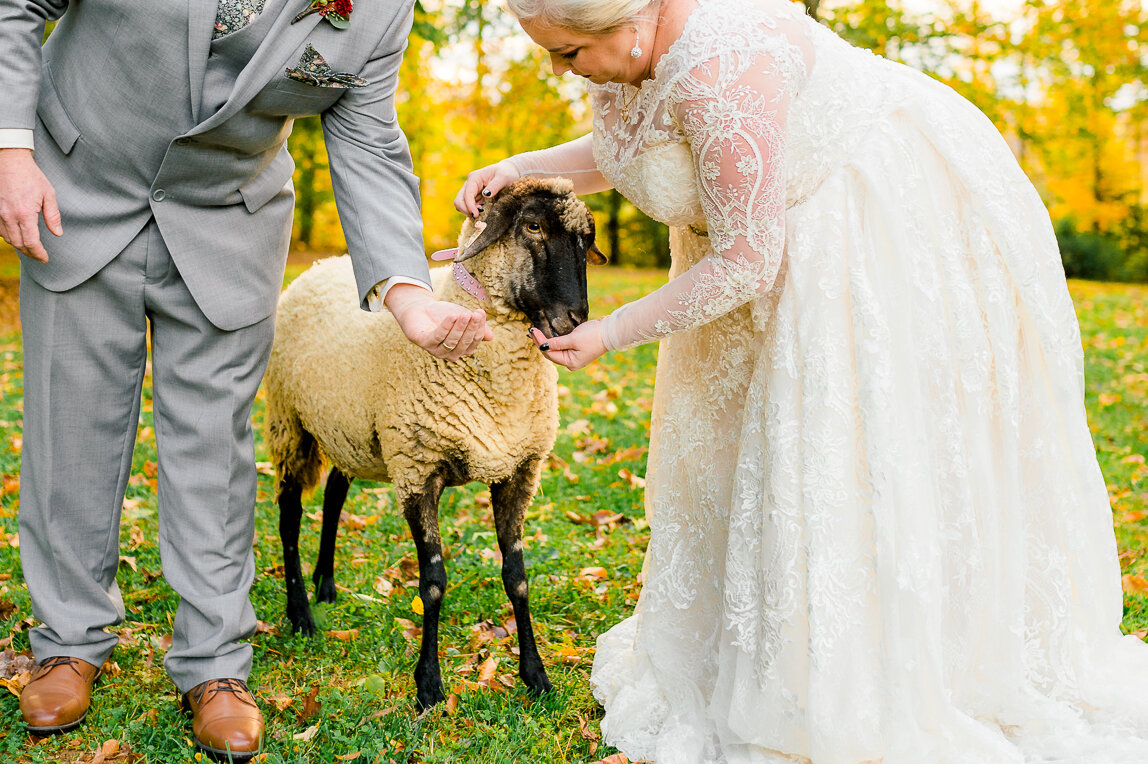 SevenSprings_VirginiaWedding_Fall_Halloween_youseephotography_RachelEric_pic103.jpg