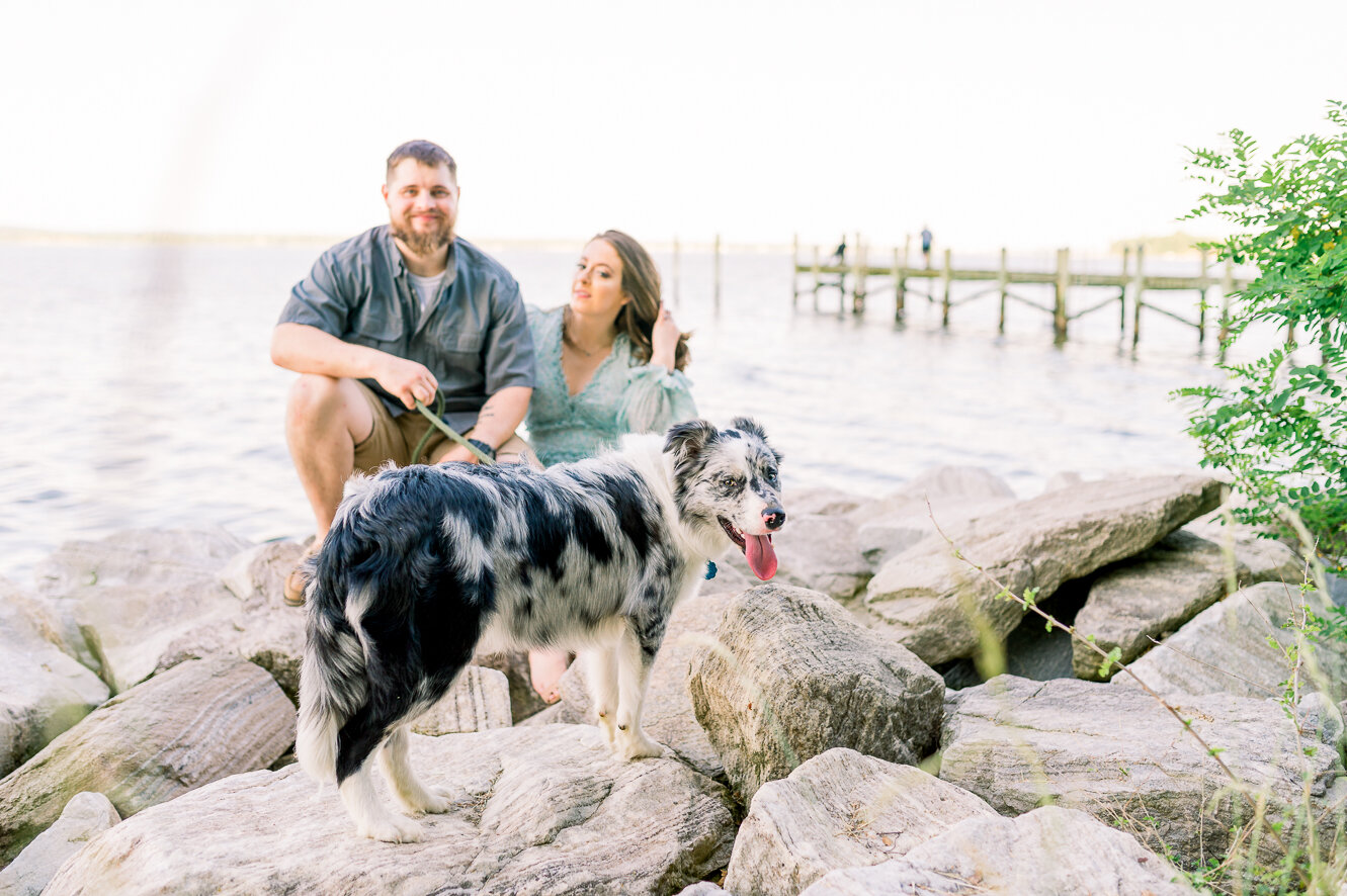 engagement_spring_southernmaryland_GreenwellStatePark_fredericksburgweddingphotographer_youseephotography_NatalieSam_pic7.jpg