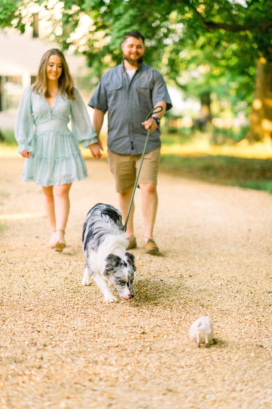 engagement_spring_southernmaryland_GreenwellStatePark_fredericksburgweddingphotographer_youseephotography_NatalieSam_pic2.jpg