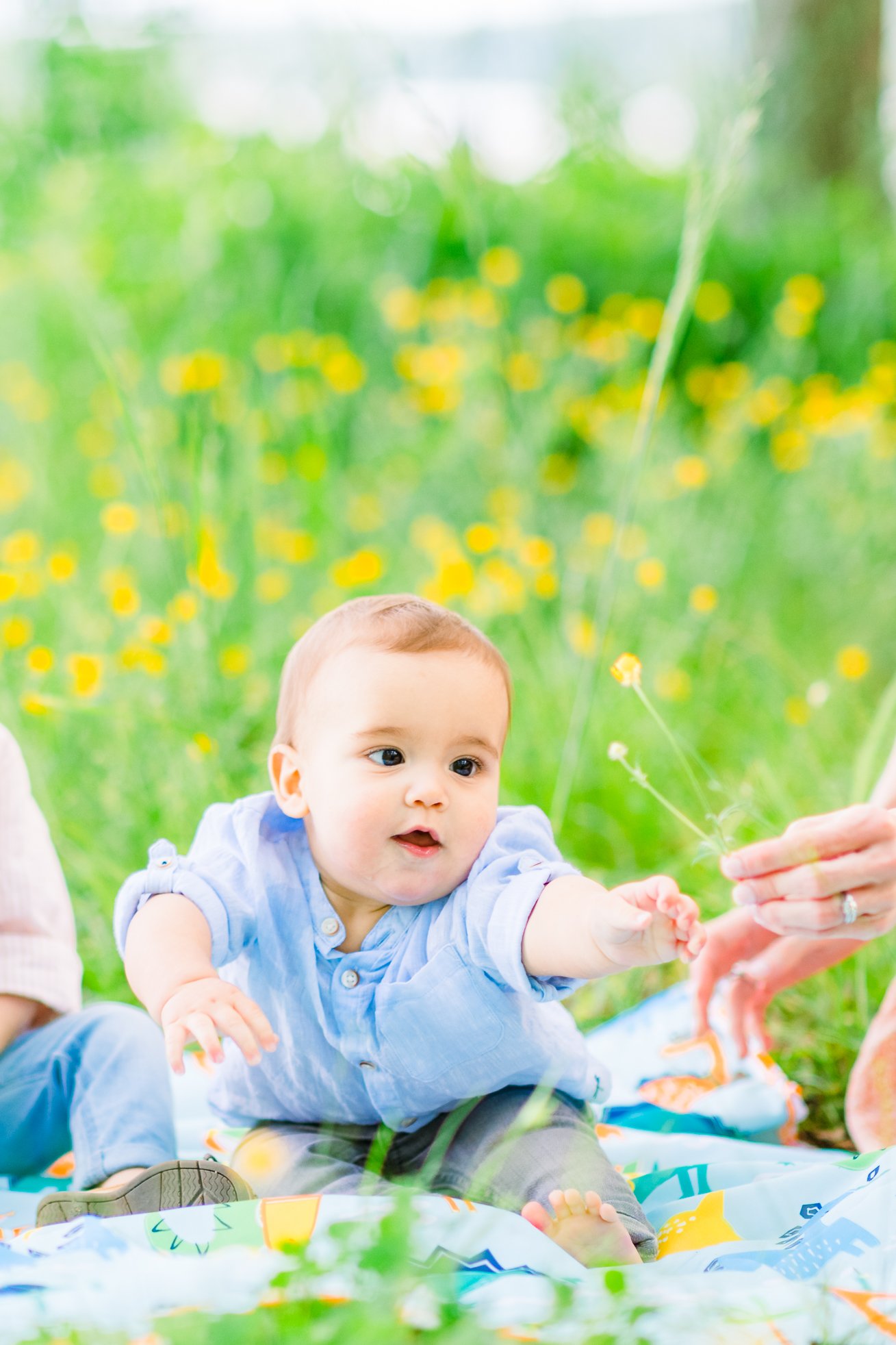 familysession_Leesylvania_NOVAphotographer_youseephotography_DerakhshanrokniFamily_pic10.jpg