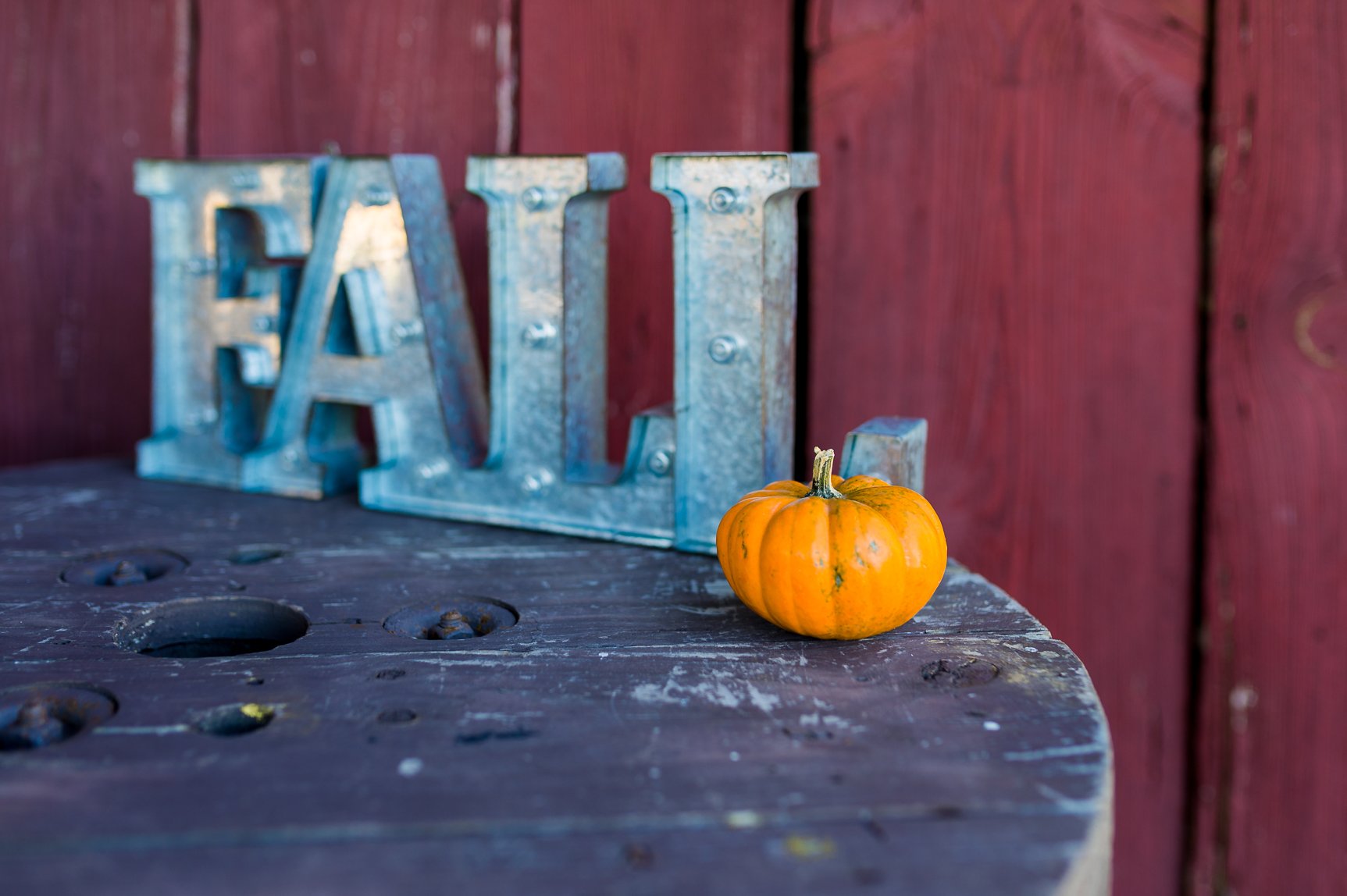 BarnsOfKanak_RichmondWedding_FallWedding_VirginiaBride_youseephotography_TraylorPobiak_pic166.jpg