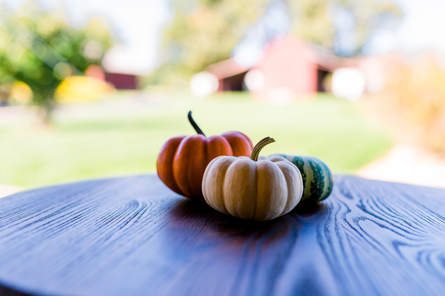 BarnsOfKanak_RichmondWedding_FallWedding_VirginiaBride_youseephotography_TraylorPobiak_pic316.jpg