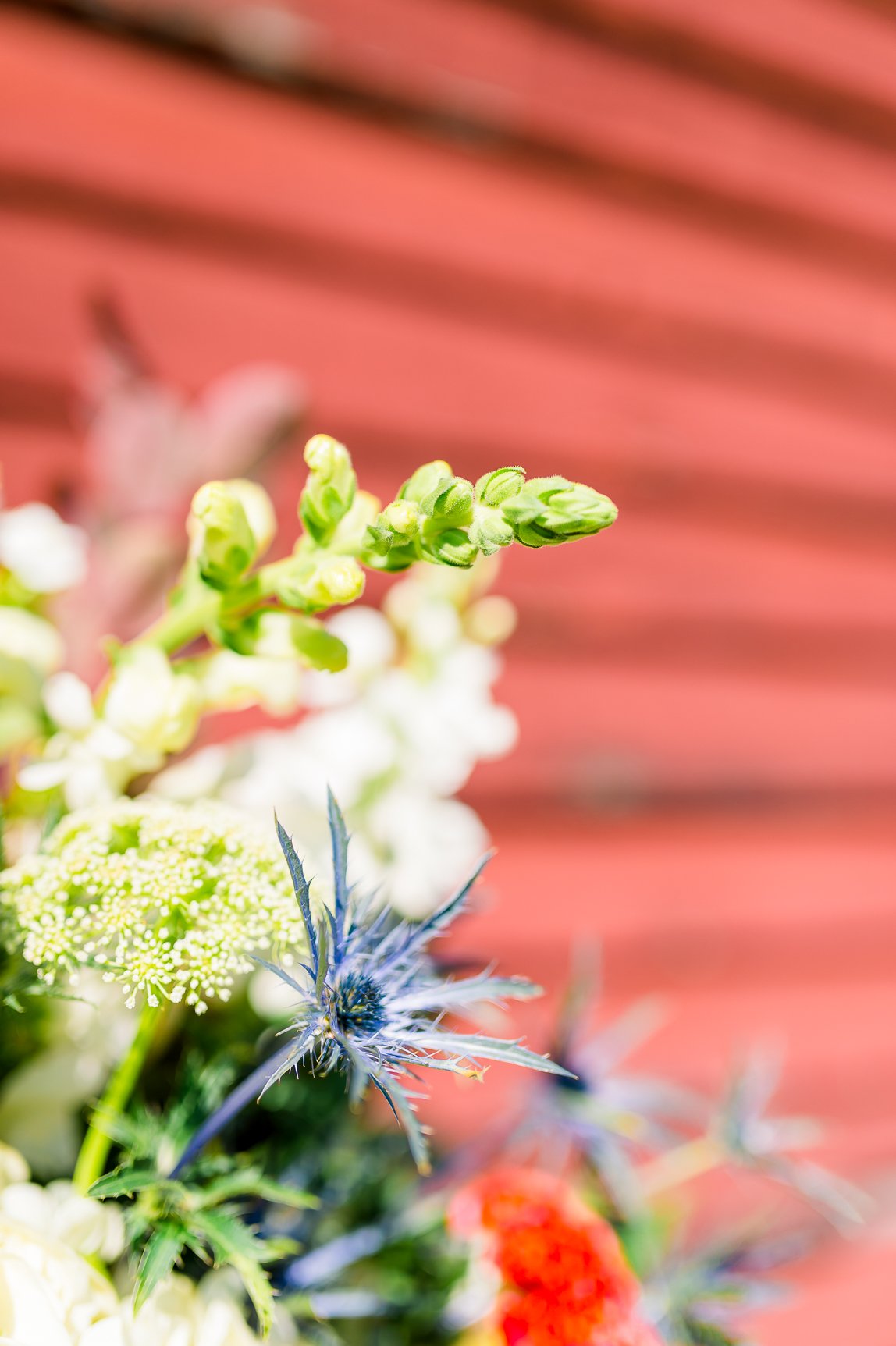 BarnsOfKanak_RichmondWedding_FallWedding_VirginiaBride_youseephotography_TraylorPobiak_pic162.jpg