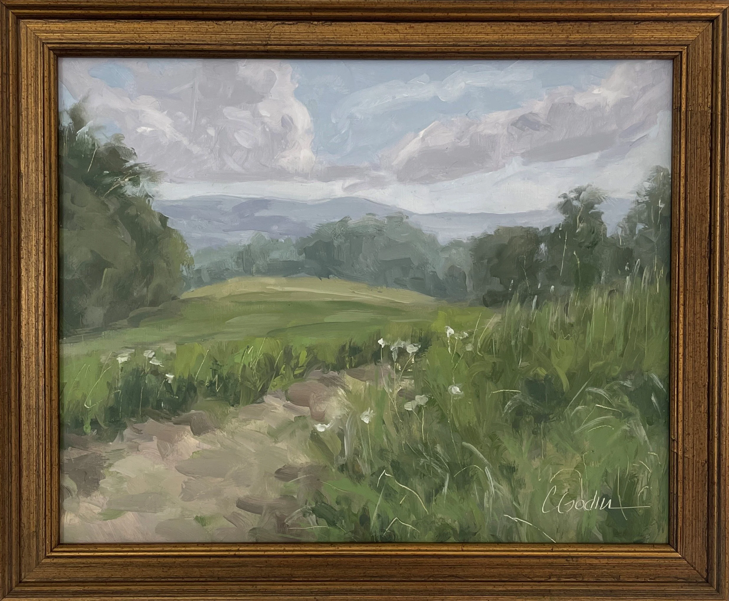 Field of Possibilities 3.jpg