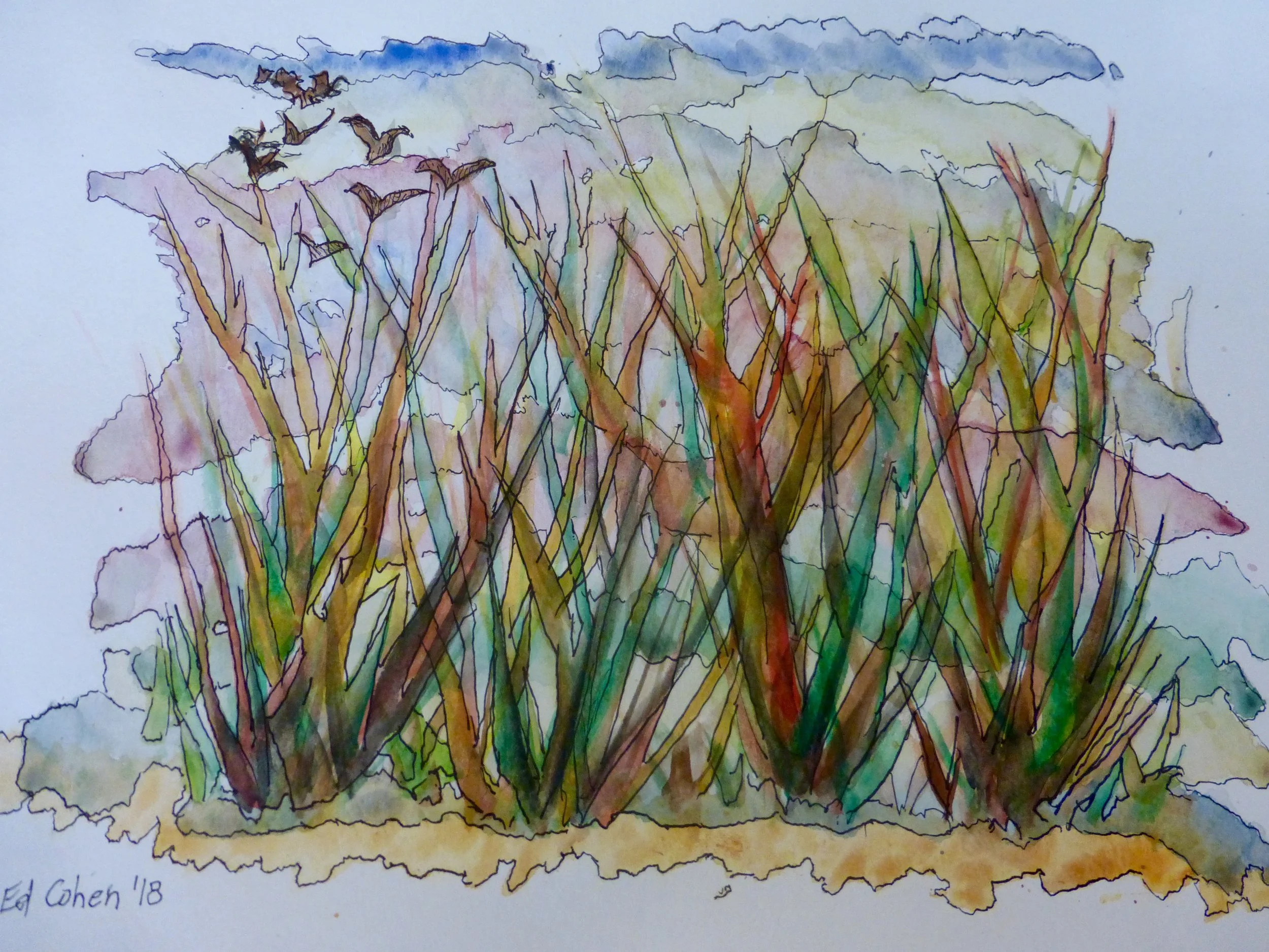 27. Transparent Weeds