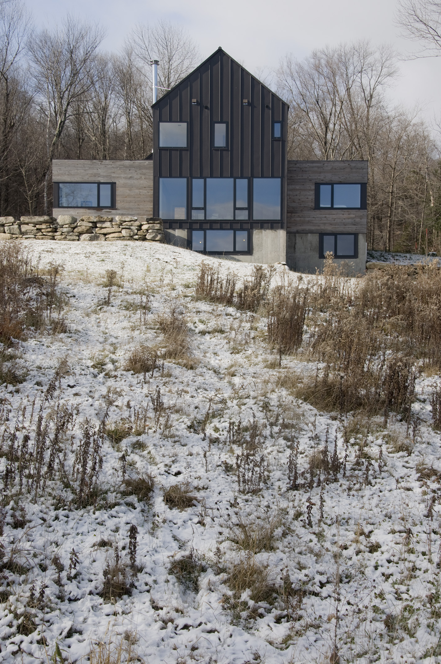 Strong Vermont Modern Ski Home