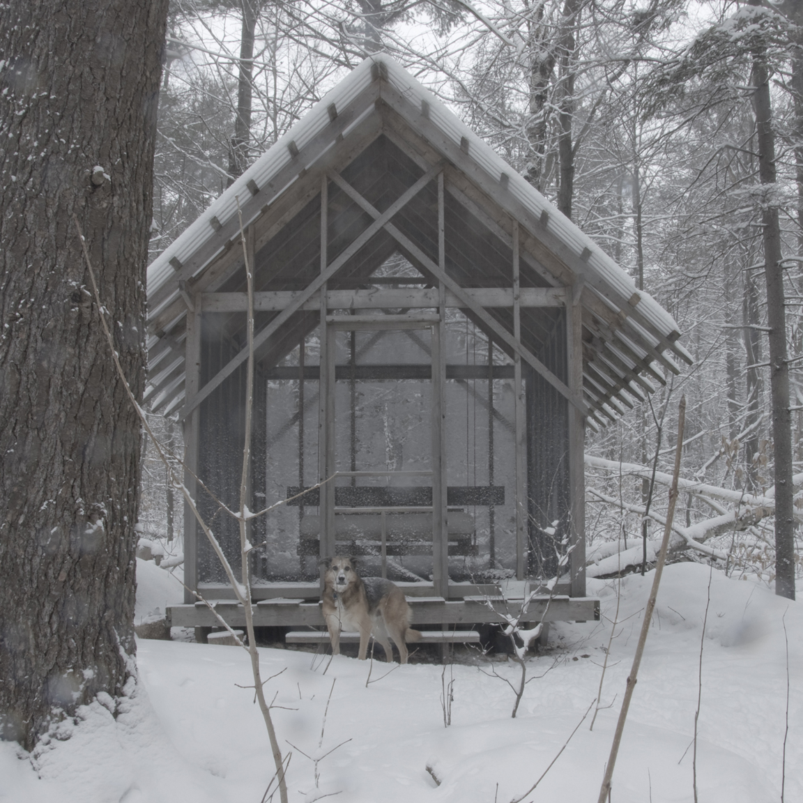 fernhouse in winter a.jpg