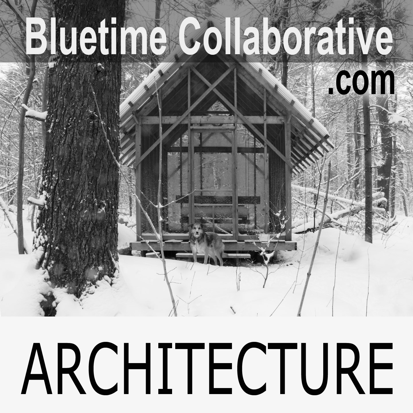 Bluetime-commons-ad copy.jpg