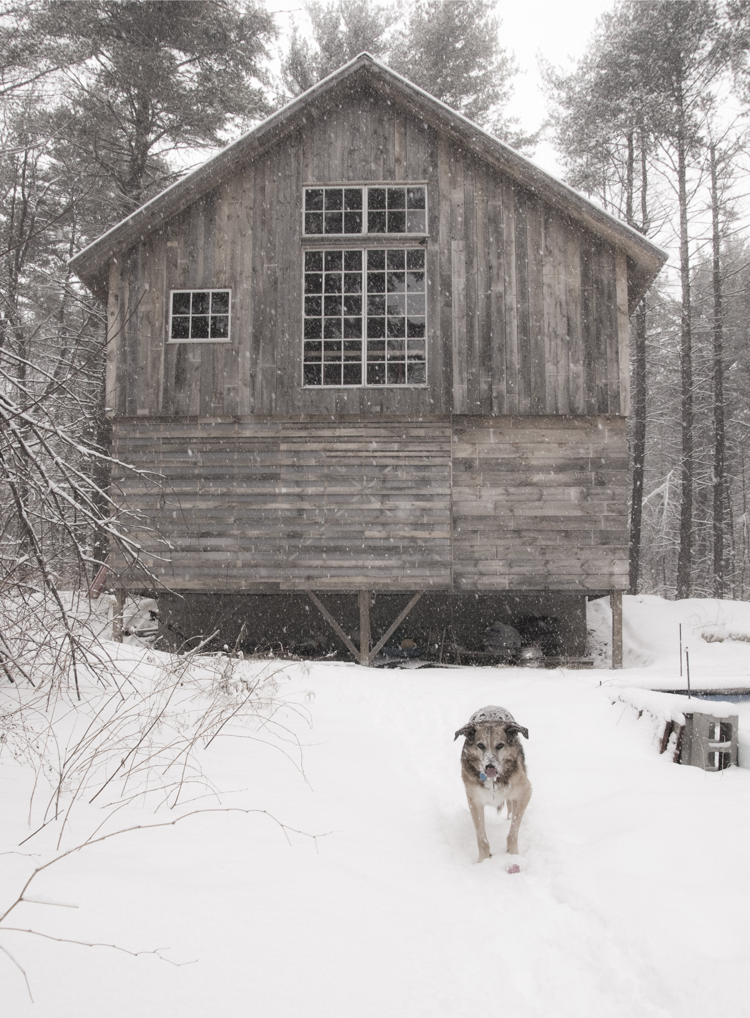 barn in snow.jpg