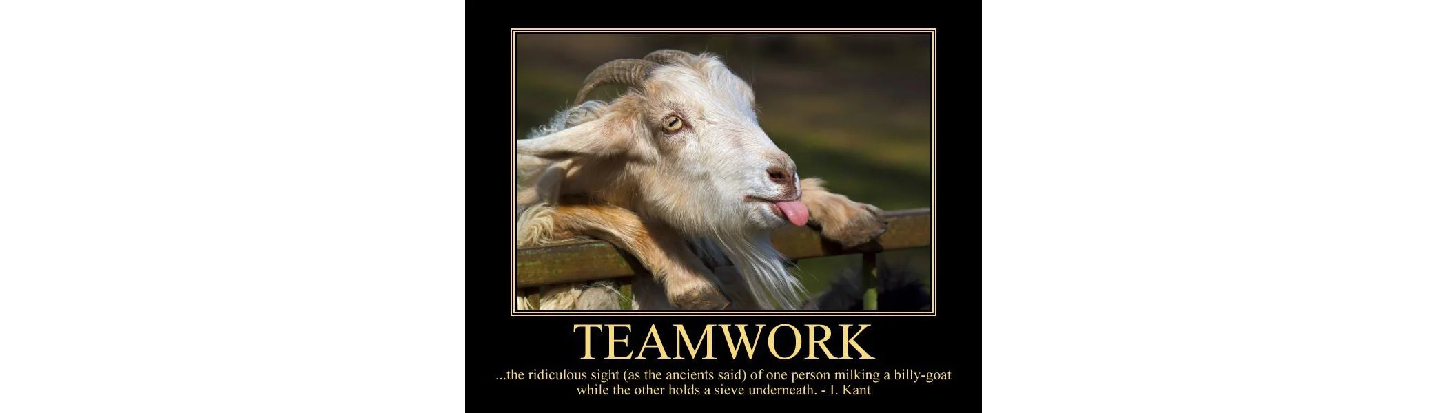 teamwork-1.jpg
