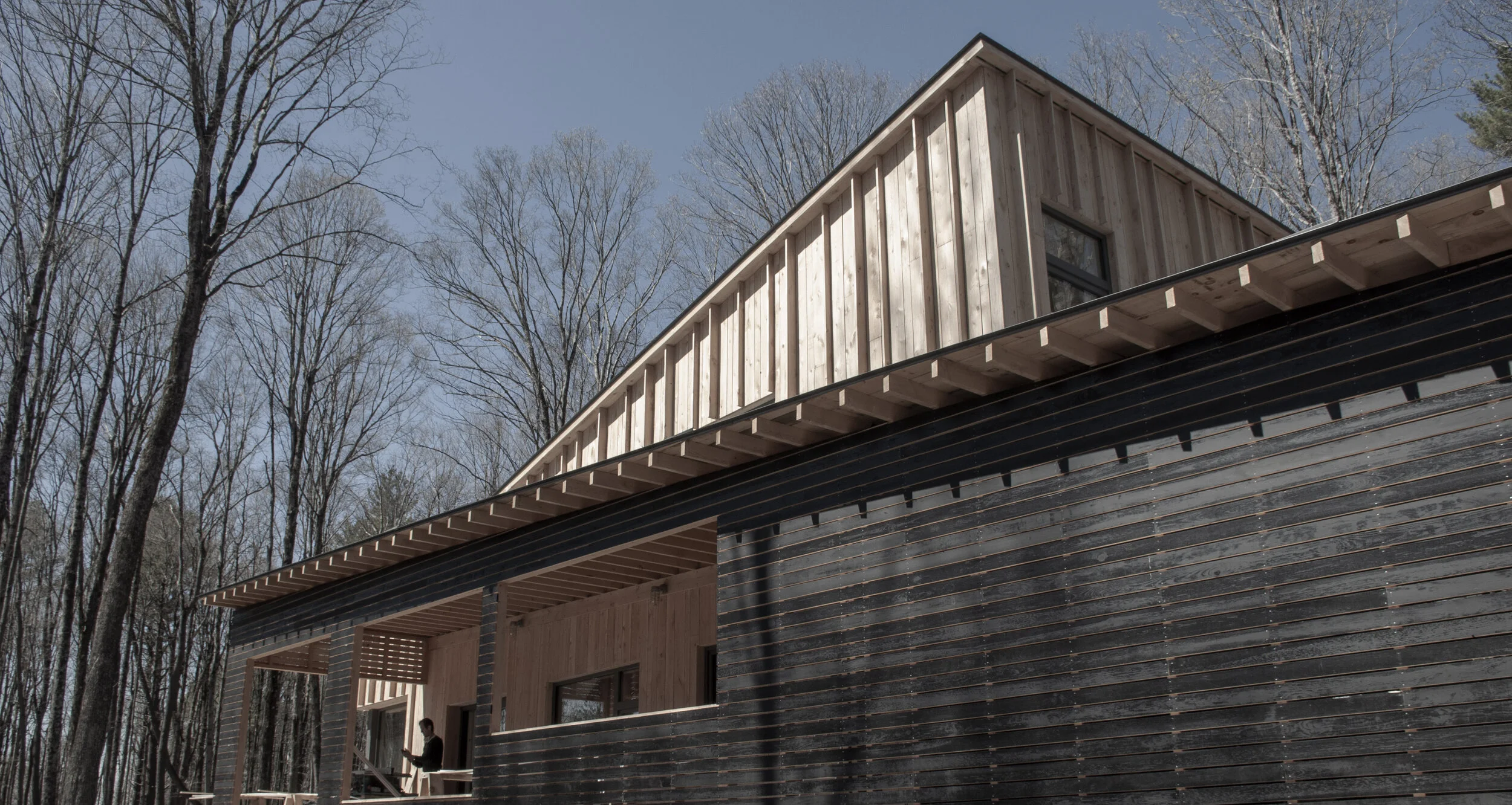 cropped roofs.jpg