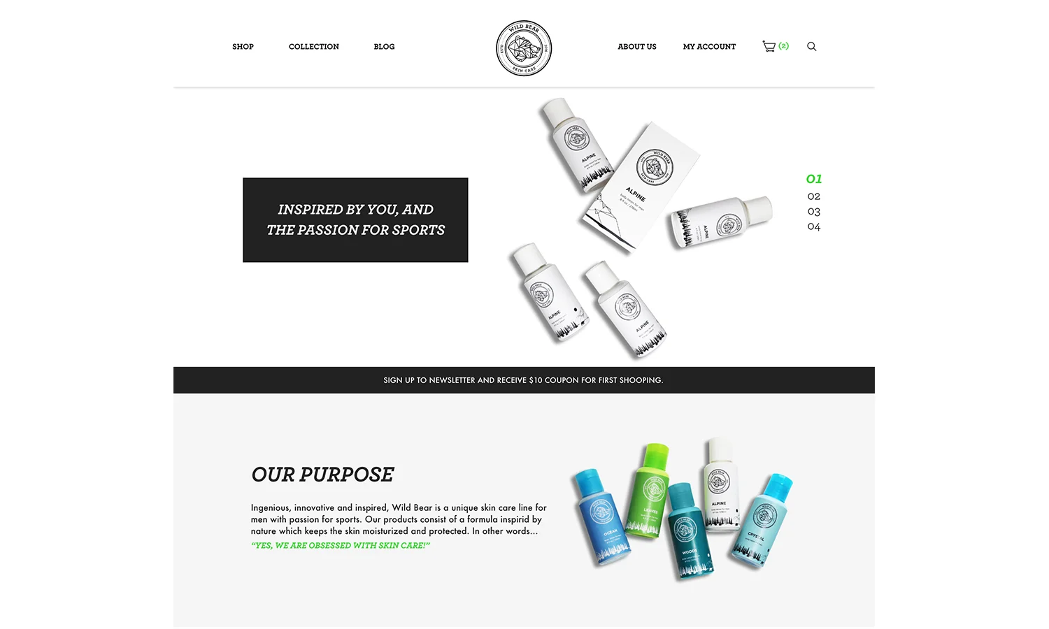 Wild Bear_Homepage01.jpg