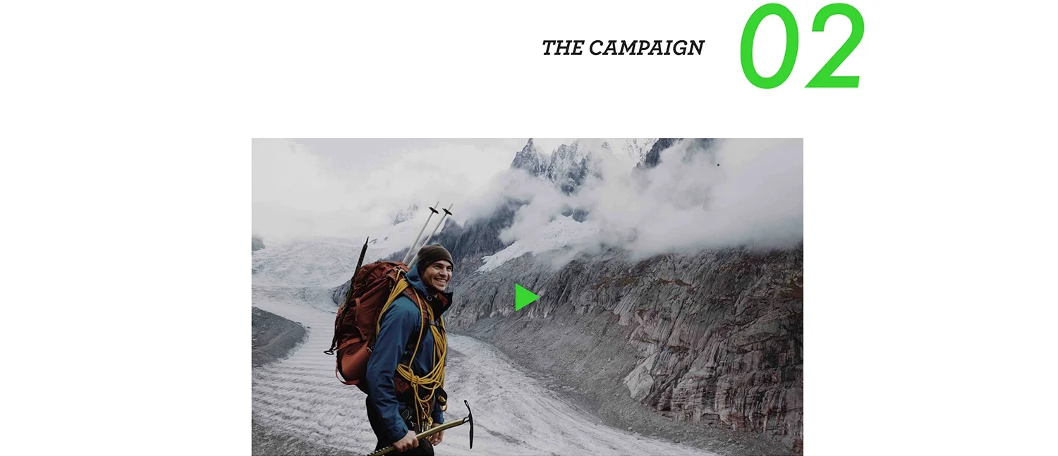 Wild Bear Homepage_04.jpg