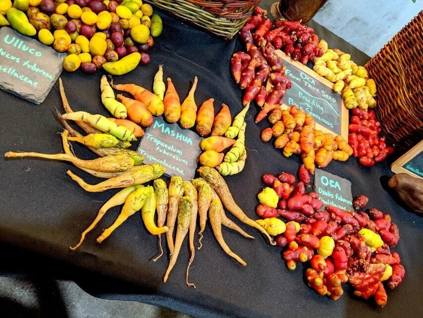 PORTLAND MONTHLY: The Culinary Breeding Network’s Variety Showcase Was A Psychedelic Veggie Trip