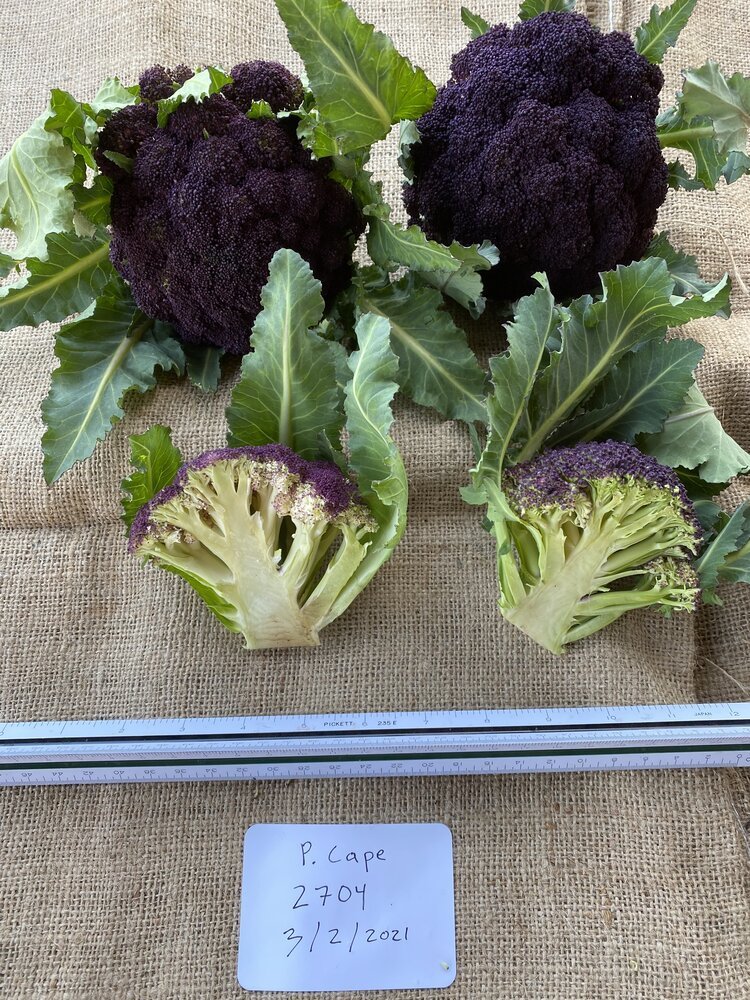 Cauliflower
