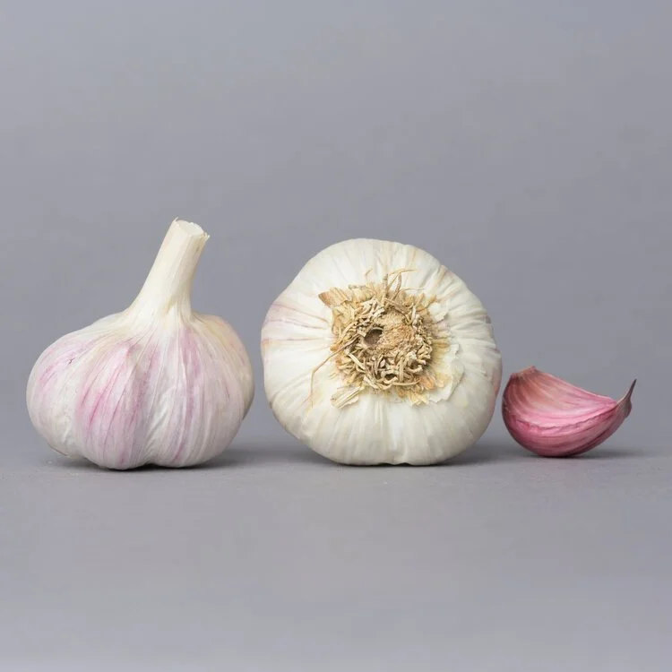Garlic