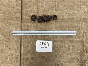 Redarling_sprouts3.jpeg