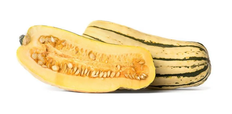 zepplin_delicata-011.jpg