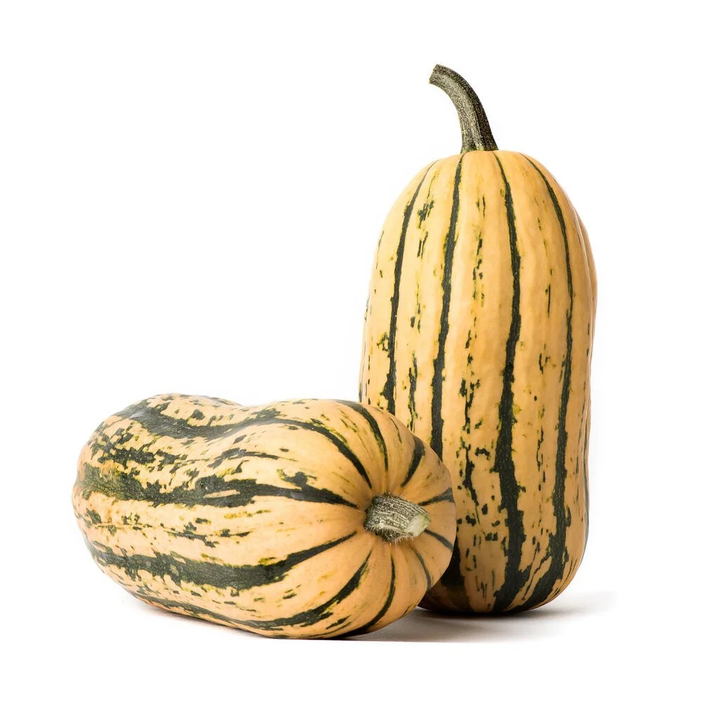candystick_delicata-078.jpg