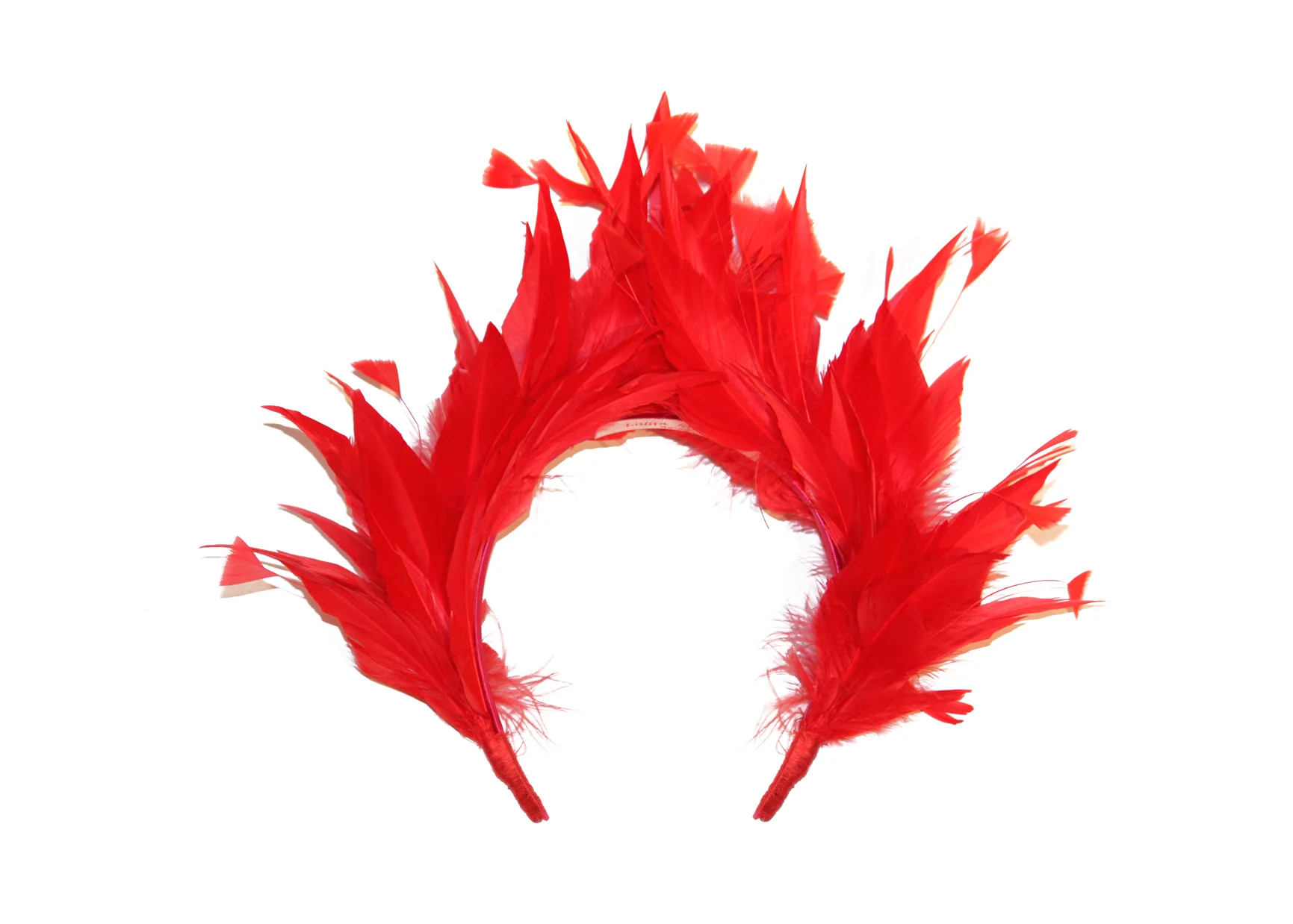 Corona_Plumas_Baja.jpg