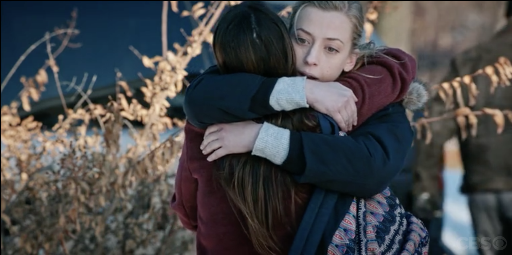 Madam Secretary Season 4 Episode 13 (2018) dir. Phil Bertelsen