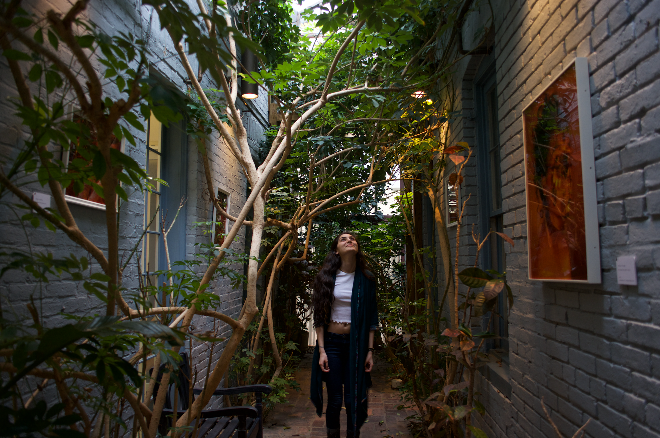 Screen Shot 2018-05-07 at 11.59.49 AM.png