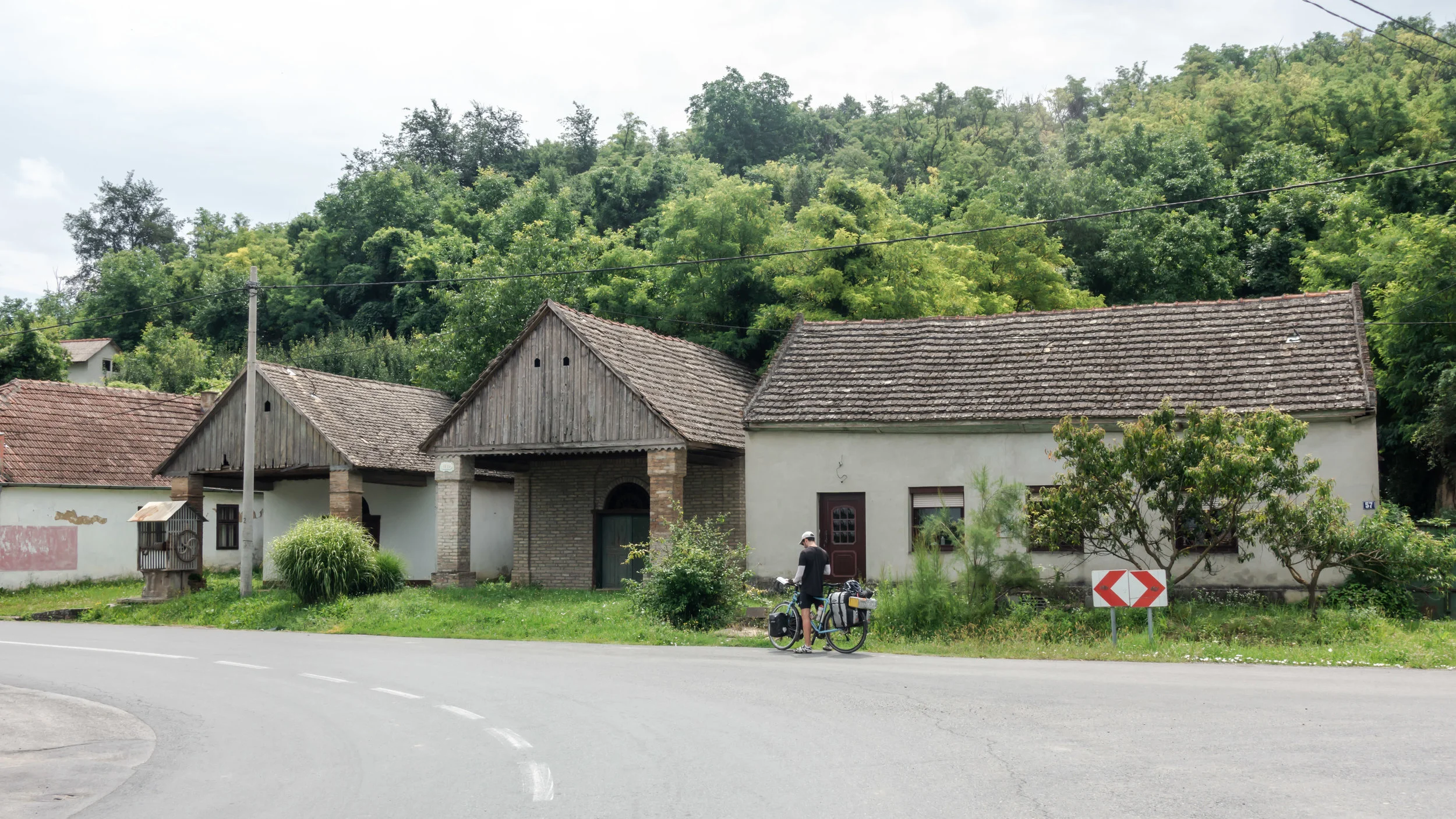 20180711-DSC01298-2-2.jpg