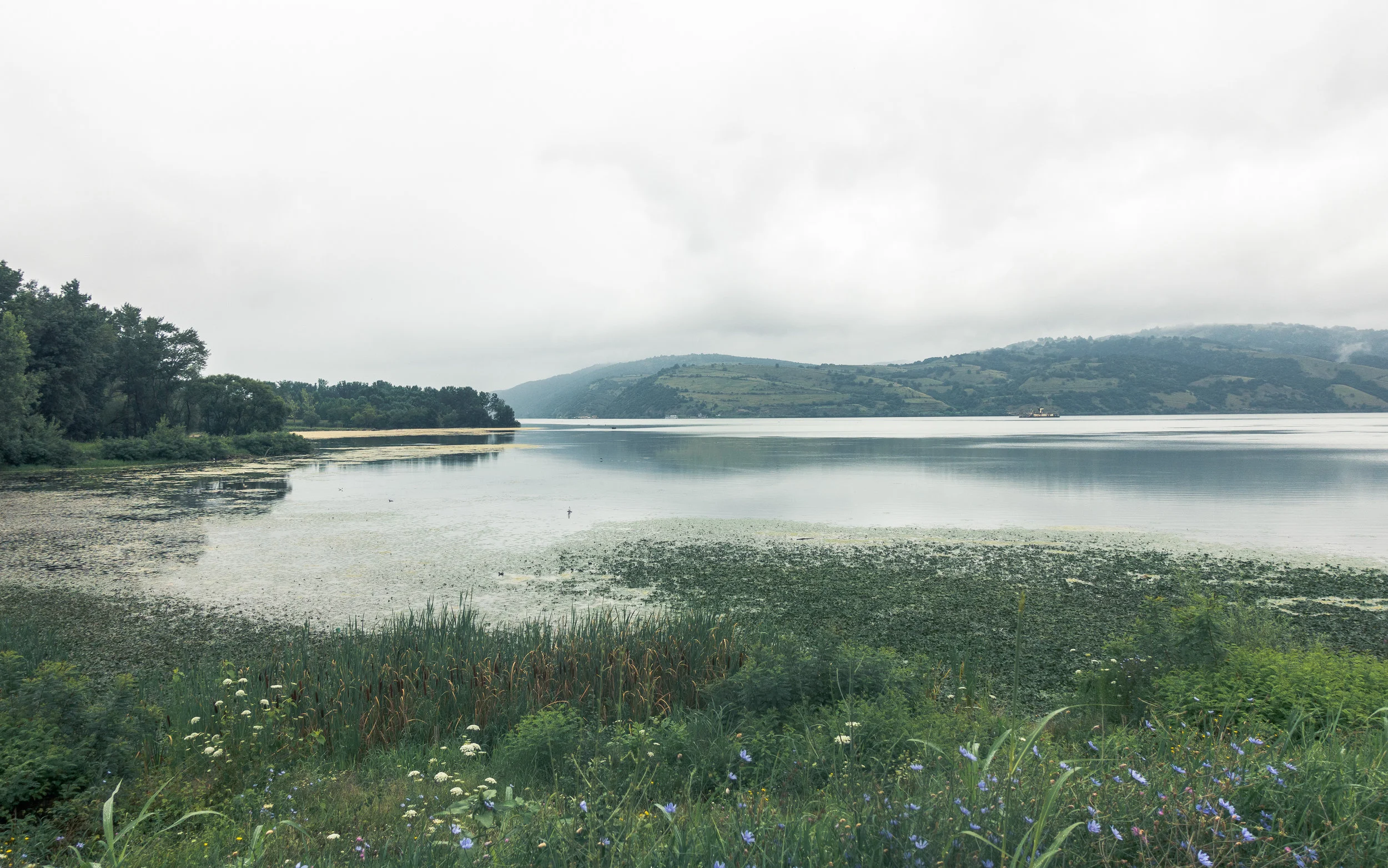 20180719-DSC01527.jpg