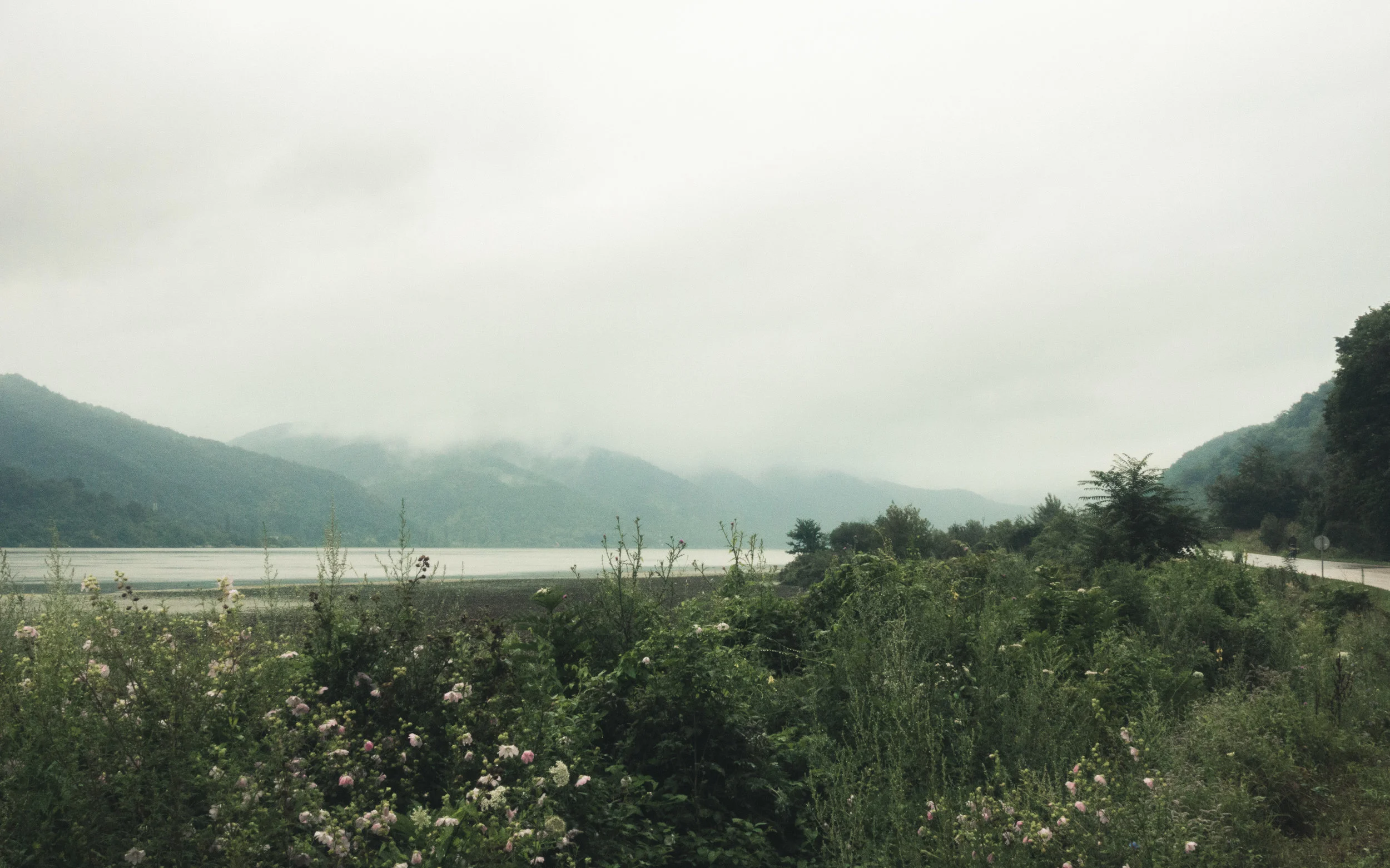 20180719-DSC01569.jpg