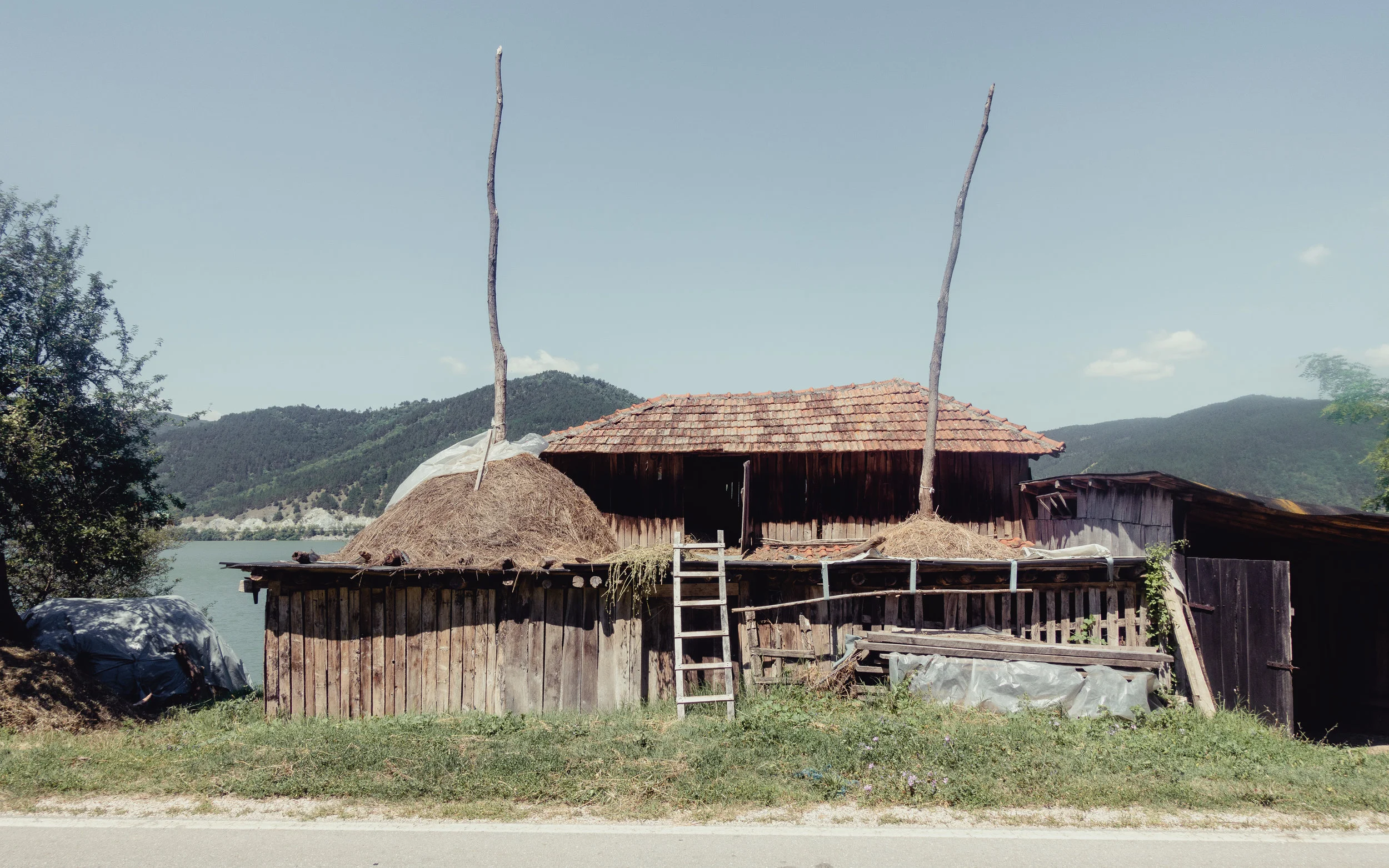 20180721-DSC01683-2.jpg