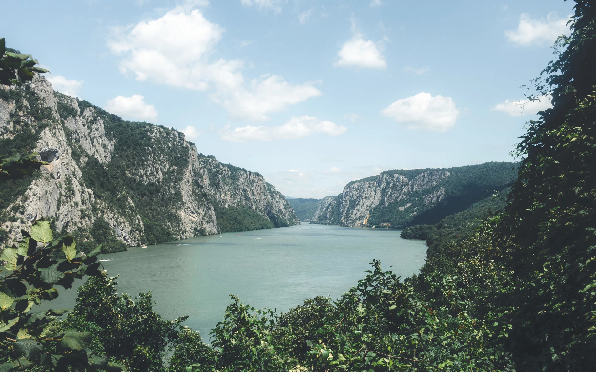 20180721-DSC01688-2.jpg