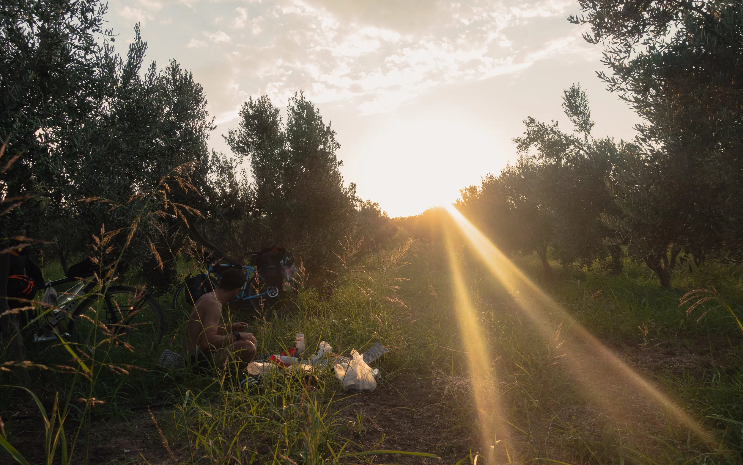 Wild camping in an olive grove