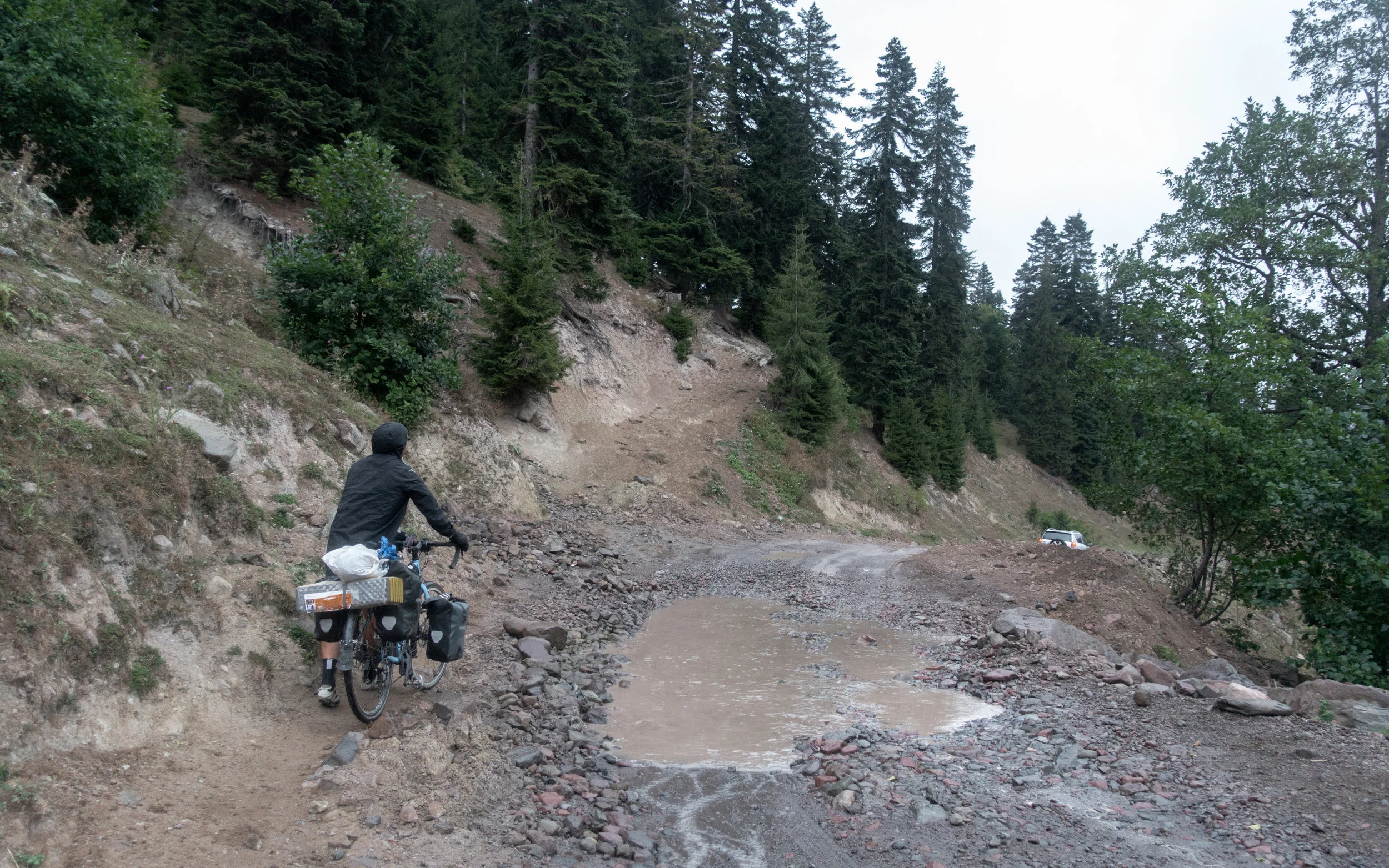 20180907-DSC03646-2.jpg