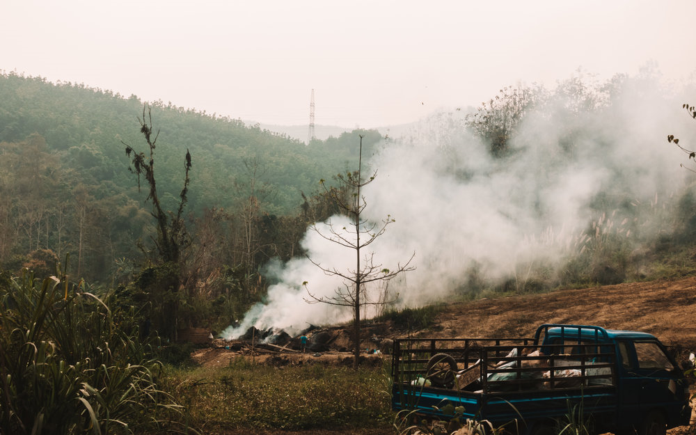 Burning back the land