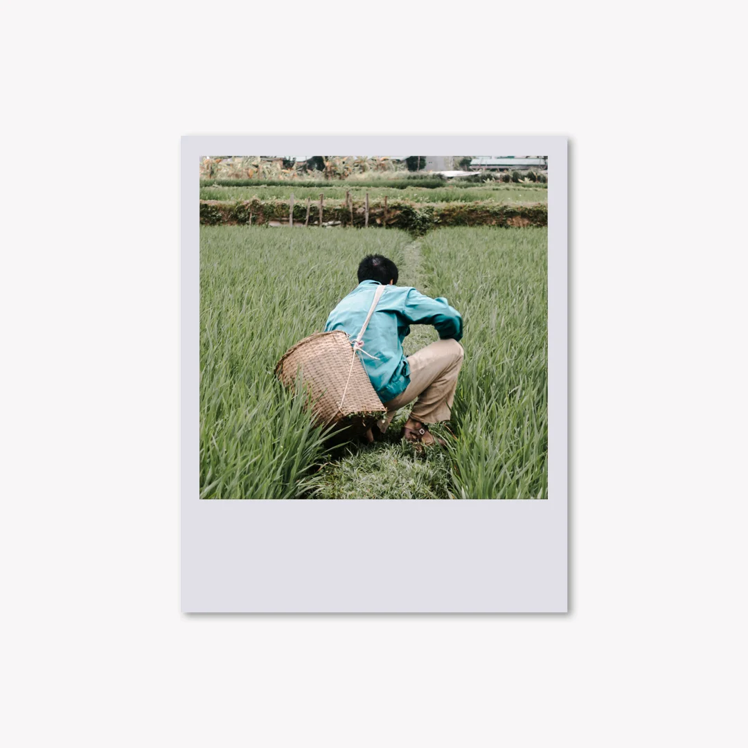 Vietnam_Gallery.jpg