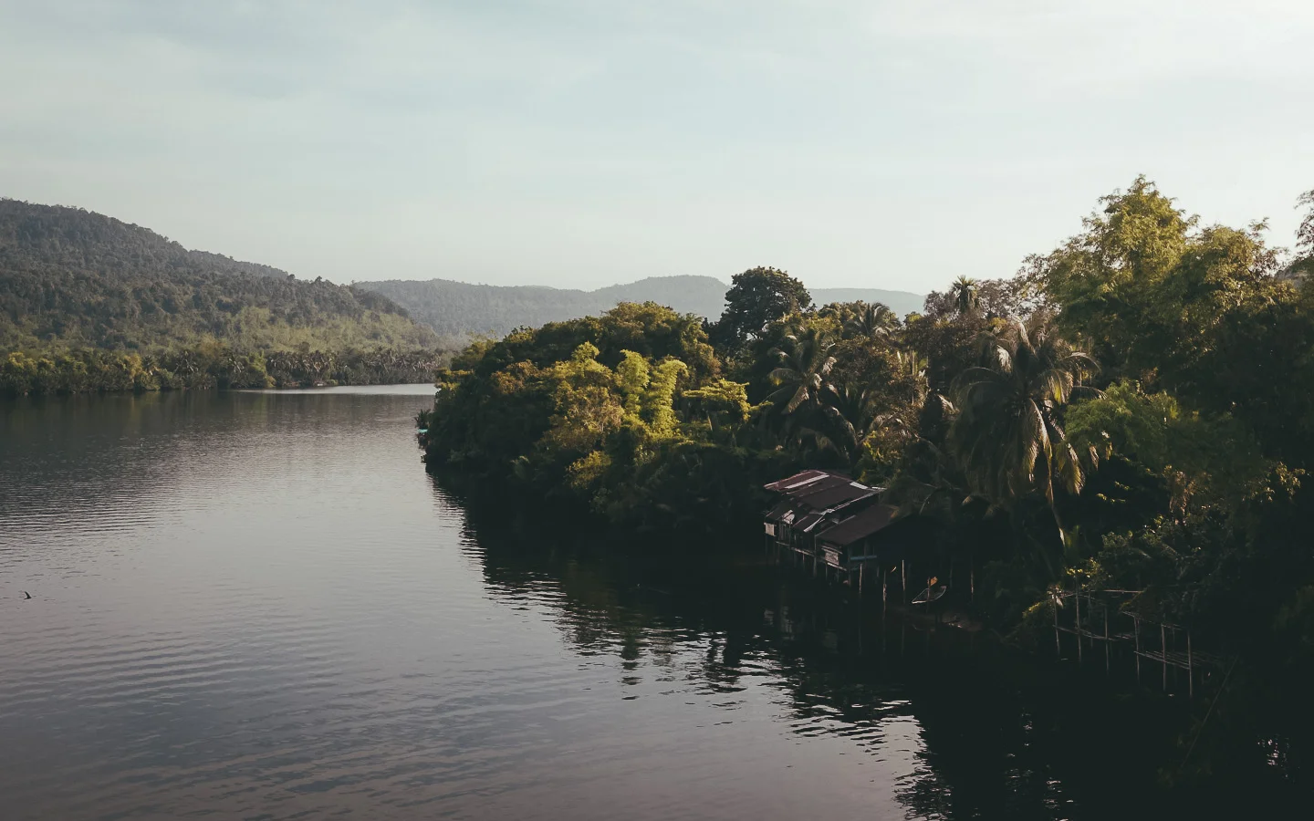 20190508-LRG_DSC02274.jpg