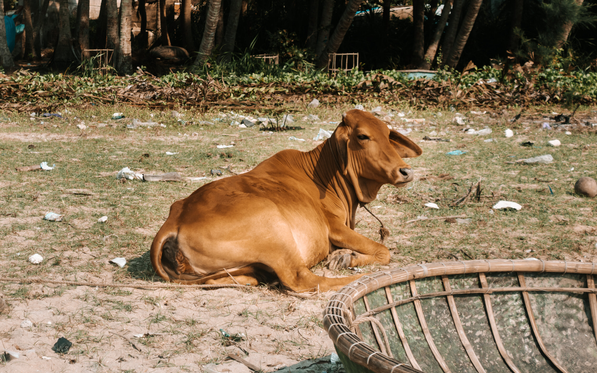 20190420-DSC01672.jpg