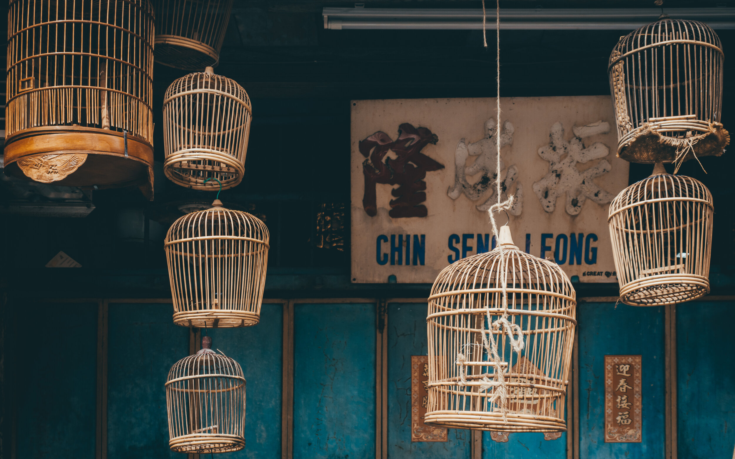 20190527-DSC02878-2.jpg