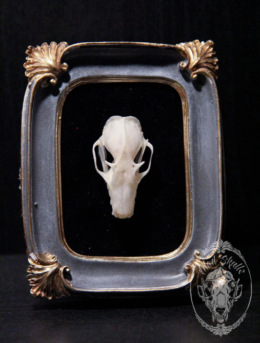 mad_skulls-22.jpg