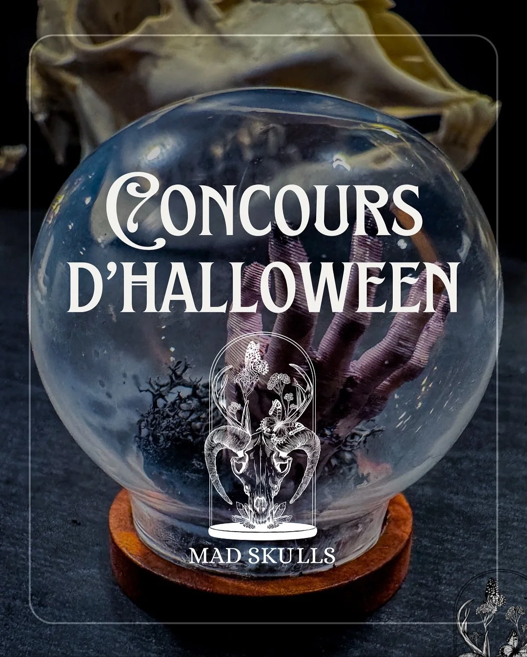 🕷️ CONCOURS HALLOWEEN &ndash; MAD SKULLS 🕸️

Sur Instagram!

🎃 Elle revient d&rsquo;entre les morts pour f&ecirc;ter Halloween avec vous&hellip;

👉 La mini main Thing de la Famille Addams a trouv&eacute; refuge chez Mad Skulls !

Et elle pourrait