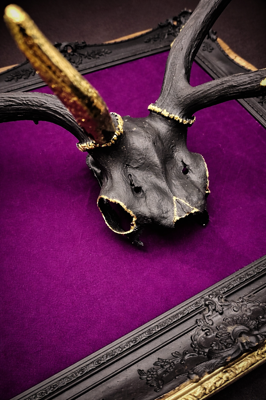 Cadre trophée Renne noir doré à la feuille