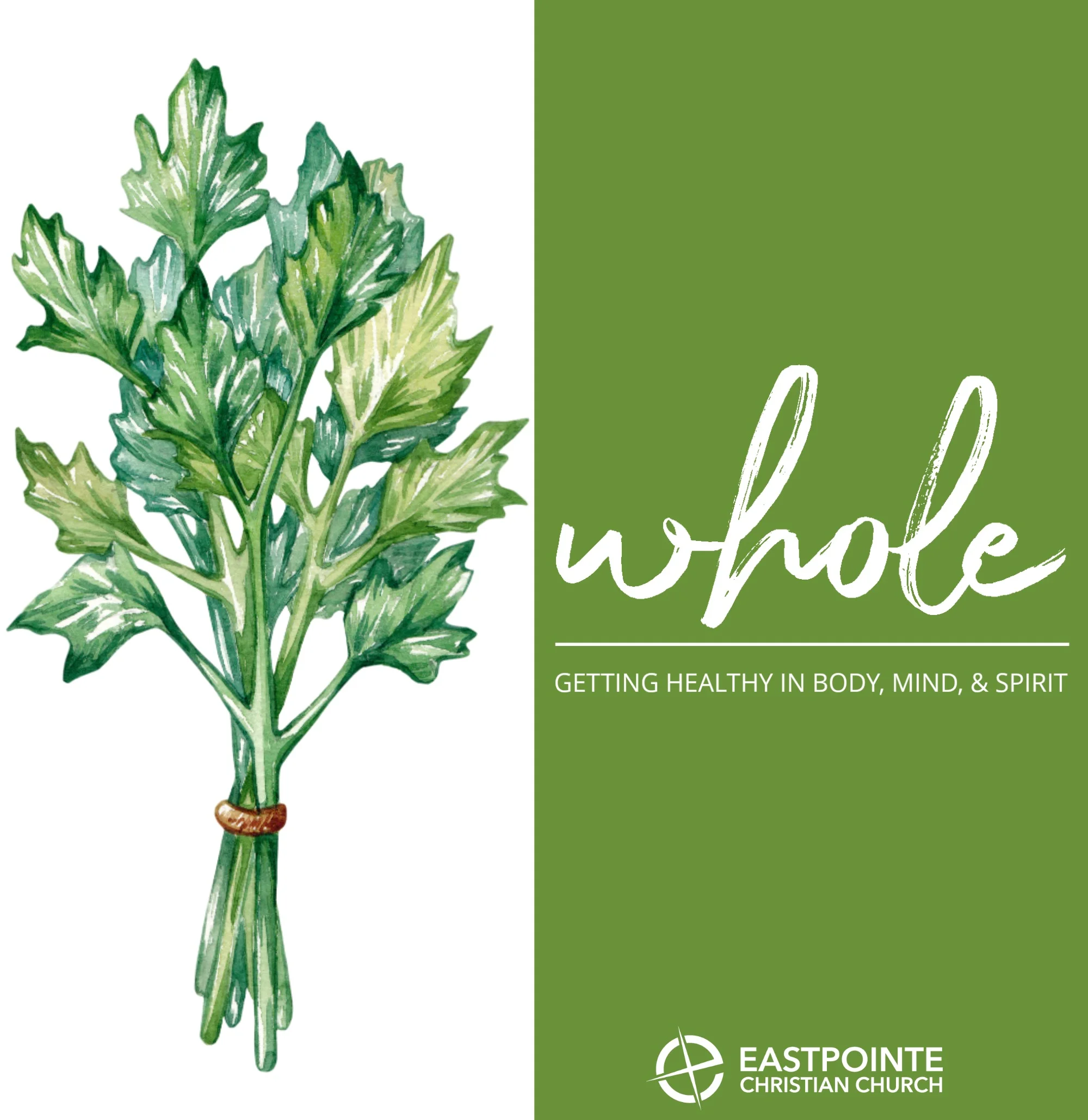 Whole: Week 2