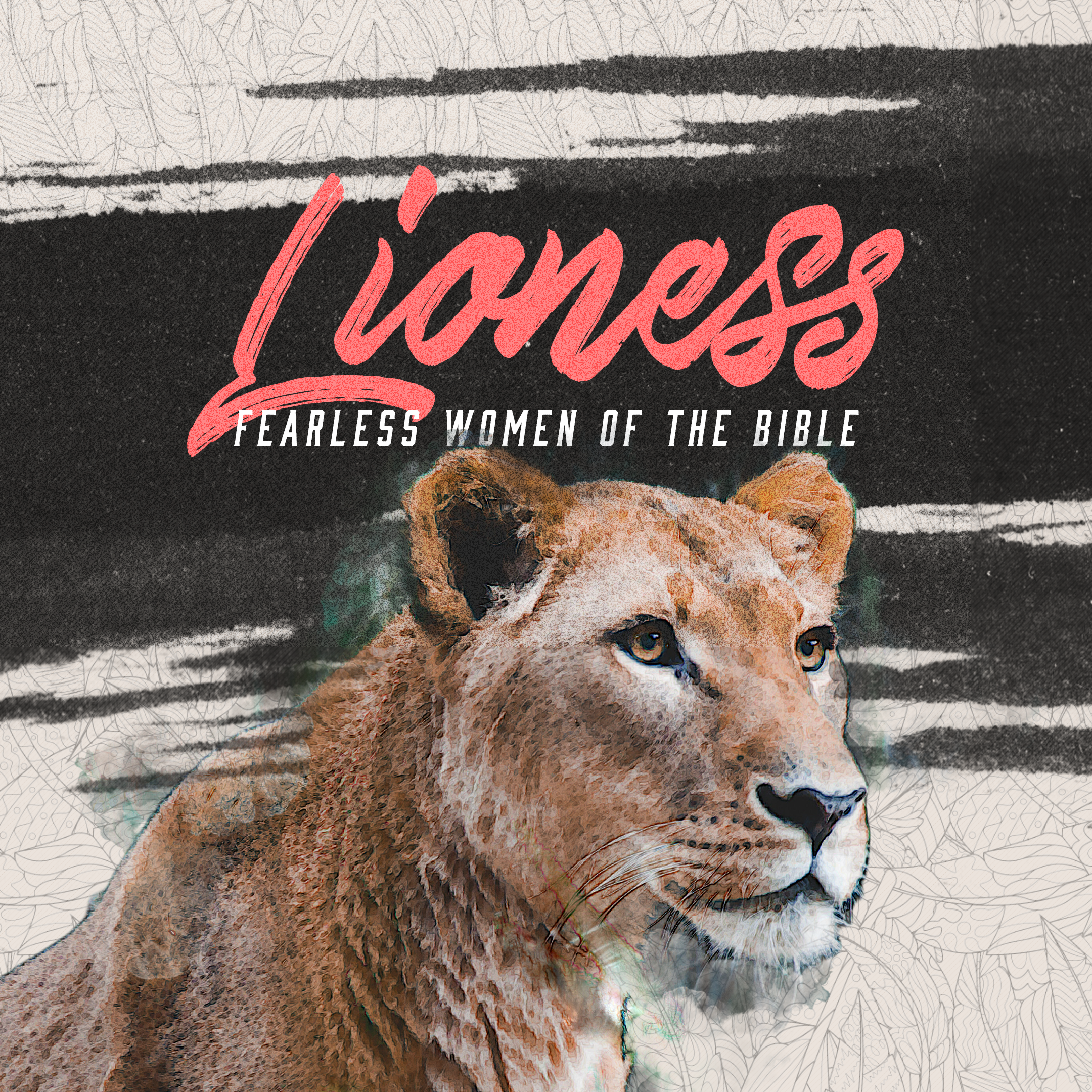 Lioness: Week 3