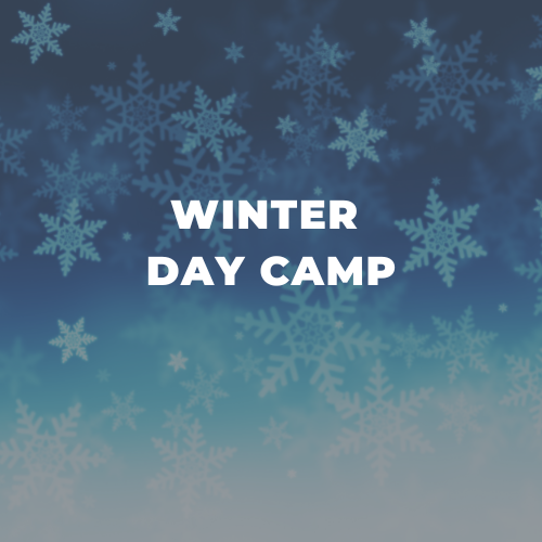 Winter Day Camp