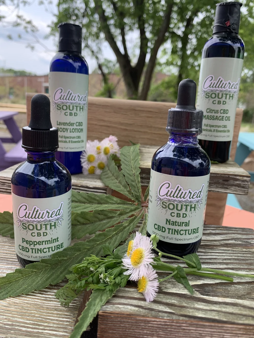 Citrus CBD Massage Oil - 4.5 oz — Cultured South